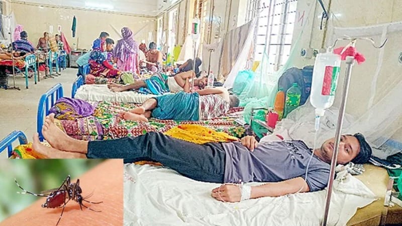 ডেঙ্গুতে মৃত্যু  আরও ৬ জনের ,হাসপাতালে ভর্তি ১২৯৭