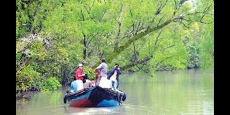 সুন্দরবনে দিনে পাঁচ হাজারের বেশি পর্যটক নয়, হতাশ হয়ে ফিরে যাচ্ছেন অনেকে