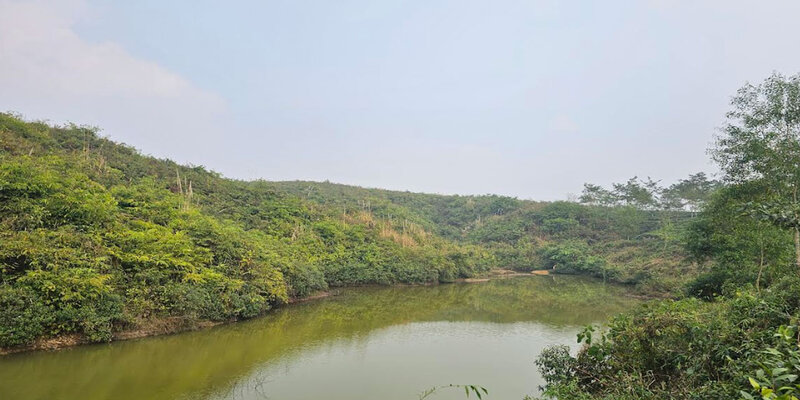 চা বাগানের ভেতরে লেক, সৌন্দর্যে মুগ্ধ পর্যটকরা