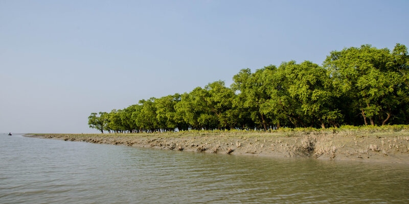 সাগরের মাঝে এক টুকরো স্বর্গ নিঝুম দ্বীপ