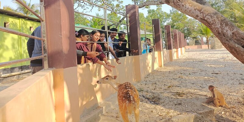 ১৬ দিনে ৫২৬৬ পর্যটকের কালাগাছিয়া ভ্রমণ