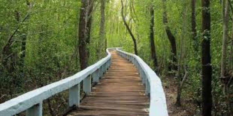 সংস্কারের অভাবে পর্যটক হারাচ্ছে হরিণঘাটা