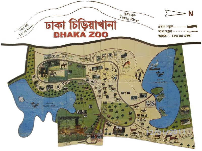 ঈদের তৃতীয় দিনে জাতীয় চিড়িয়াখানায় প্রায় ৩লক্ষাধিক দর্শনার্থী