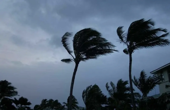 দুপুরের মধ্যে ১৬ জেলায় ঝড়ের  পূর্বাভাস আবহাওয়া অধিদপ্তরের