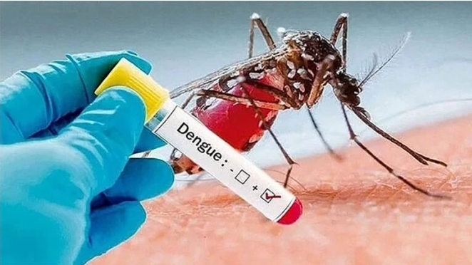 ডেঙ্গুর মৌসুমে নেই কোন জোড়ালো পদক্ষেপ