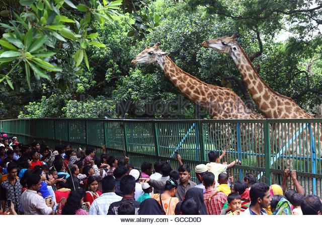 ঈদের দ্বিতীয় দিনে পরিপূর্ণ রাজধানীর পর্যটনকেন্দ্রগুলো