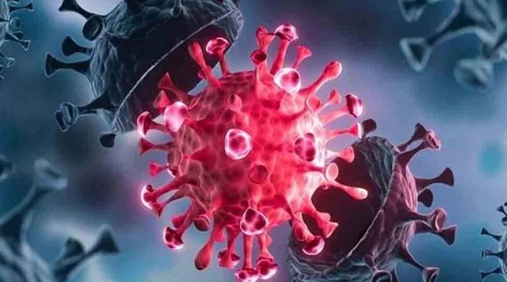 দেশে ২৪ ঘণ্টায় করোনা আক্রান্ত হয়ে ২ জনের মৃত্যু