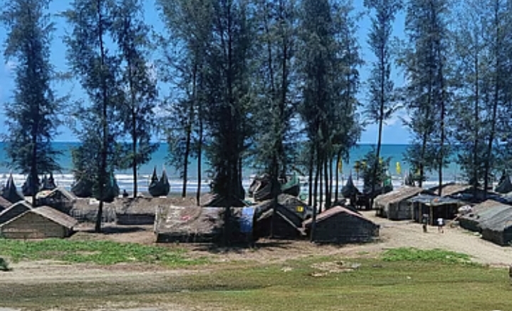 কক্সবাজার মেরিন ড্রাইভে ঝাউবাগান উজাড়: ১৭ কিলোমিটারে গড়ে উঠেছে ৩ হাজারের বেশি অবৈধ স্থাপনা