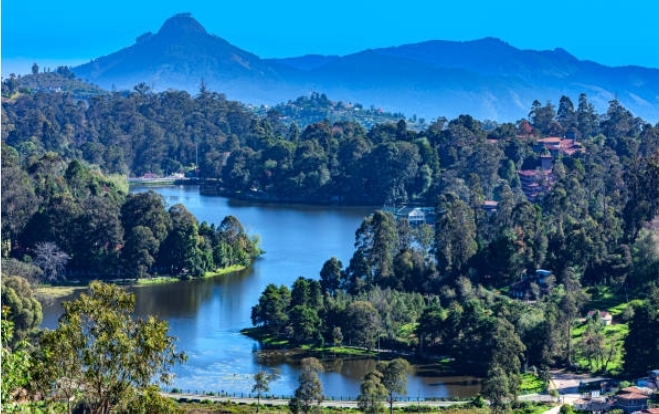 ভারতের ট্যুরিস্ট ভিসা চালুর অপেক্ষায় বাংলাদেশি পর্যটকরা, তামিলনাড়ু হতে পারে সেরা গন্তব্য