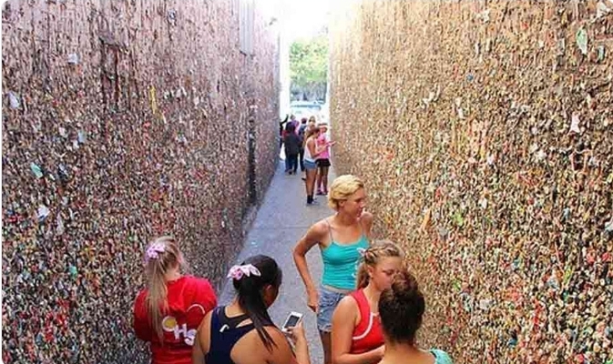 জীবাণুতে ঠাসা ‘গাম ওয়াল’: সিয়াটলের অদ্ভুত পর্যটন আকর্ষণ