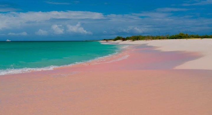 হারবার আইল্যান্ড, বাহামা: গোলাপি বালির স্বর্গে এক স্বপ্নময় ভ্রমণ