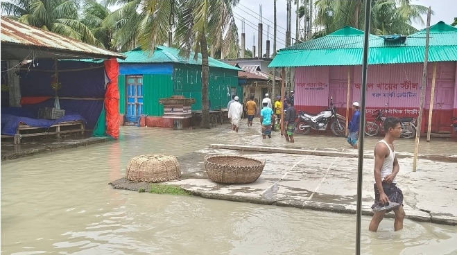 নিঝুমদ্বীপে জোয়ারের পানি, পর্যটন বন্ধ! হুমকিতে হরিণসহ বন্যপ্রাণী