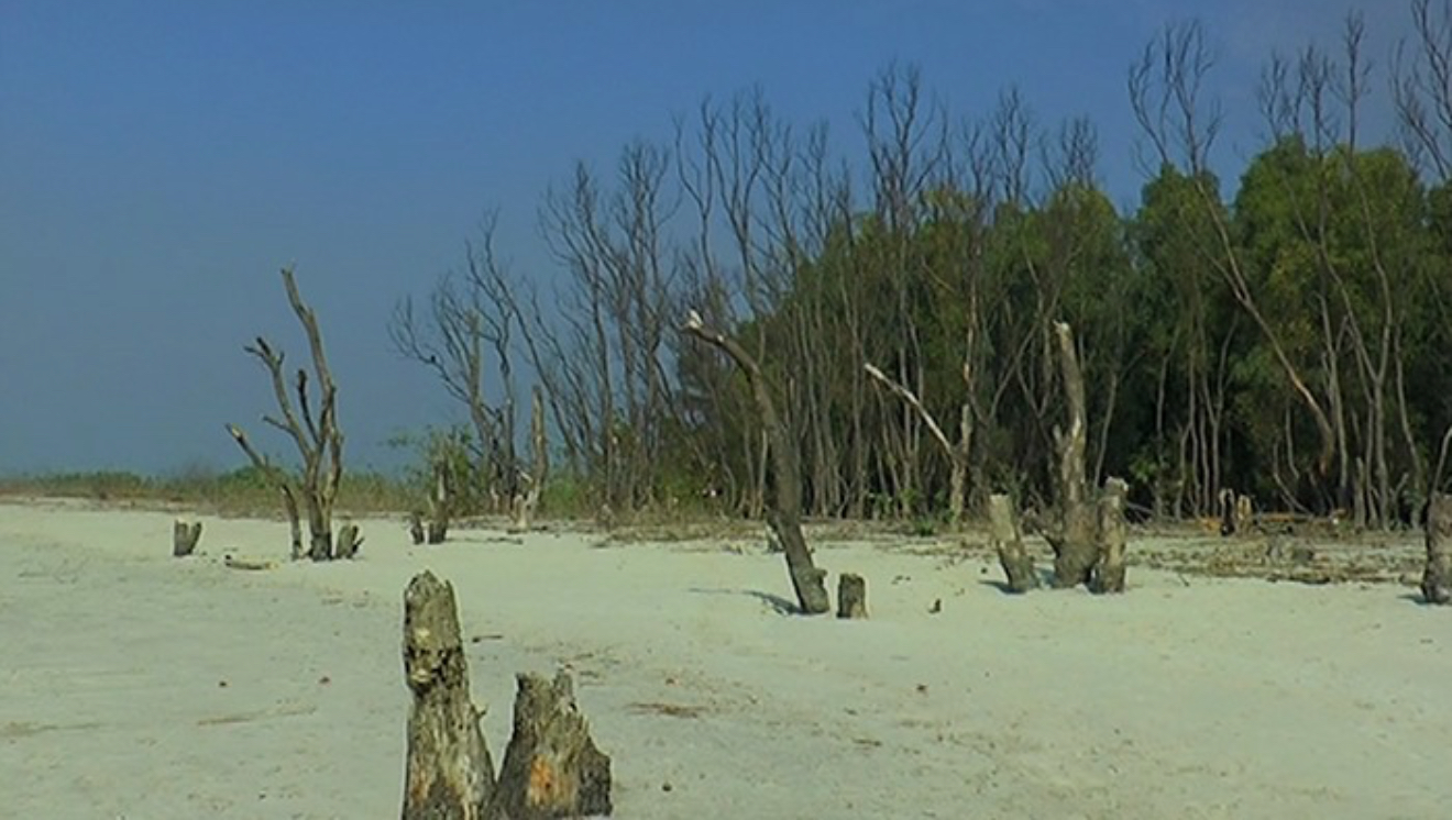 ভোলার চড় তাড়ুয়া—নতুন পর্যটন গন্তব্যে রূপ নিচ্ছে মেঘনার বুকে জেগে ওঠা দ্বীপ