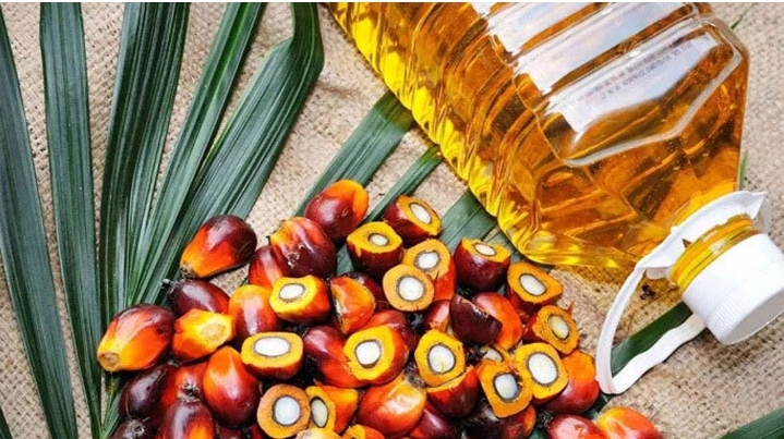 পাম অয়েলের দাম লিটারে ১৯ টাকা কমল, ১৫০ টাকা নির্ধারণ