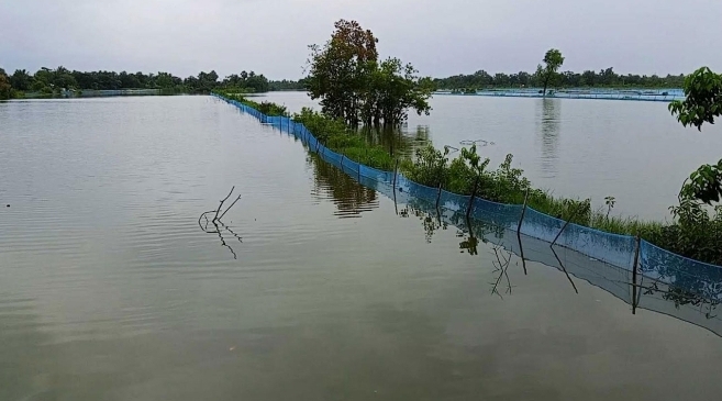 যশোরে অতিবৃষ্টিতে রেকর্ড ক্ষতি, মৎস্যখাত বিপর্যস্ত