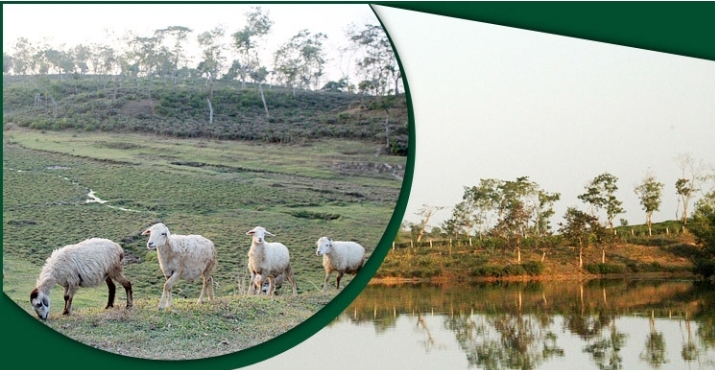 মৌলভীবাজারের বিসলারবান লেক: প্রকৃতির অচেনা শহর