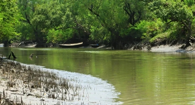 বসন্তের রঙিন ফুলে সেজে উঠেছে সুন্দরবন, পর্যটকদের জন্য মধু আহরণ মৌসুমের আকর্ষণীয় সময়