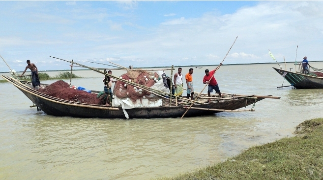 ভরা মৌসুমেও পদ্মা-মেঘনায় ইলিশের হাহাকার