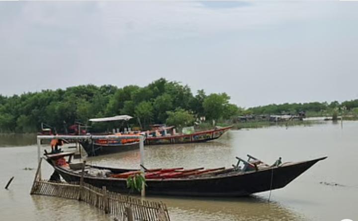 রাজশাহীতে ঘুরে দেখুন ছোট্ট ‘মিনি সুন্দরবন’
