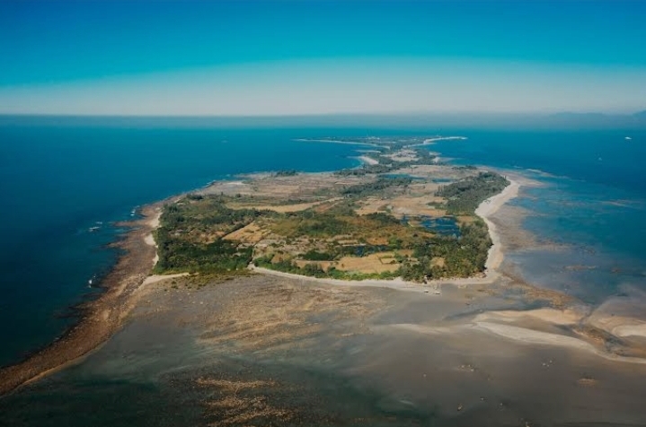 সুন্দরবনের হরবাড়িয়া দ্বীপ: সবুজ নীরবতার এক জীবন্ত কবিতা