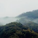 গরমে কিভাবে এবং কেন ভ্রমণ করবেন