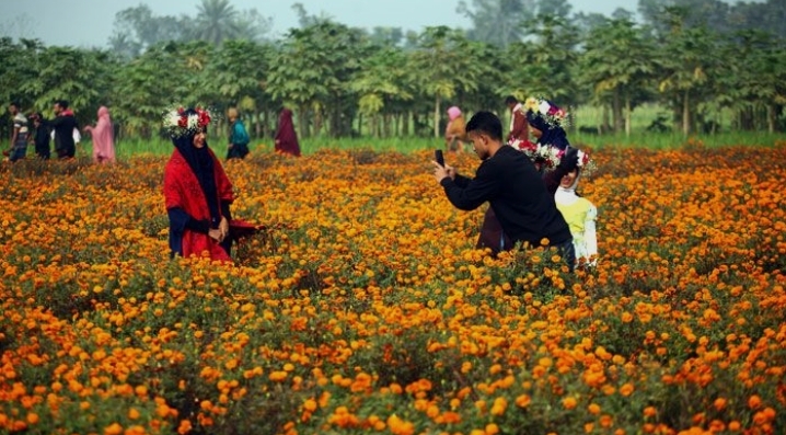 শীতের রঙে রাঙা গদখালি: ফুলের বাজারে পর্যটনের নতুন প্রাণচাঞ্চল্য