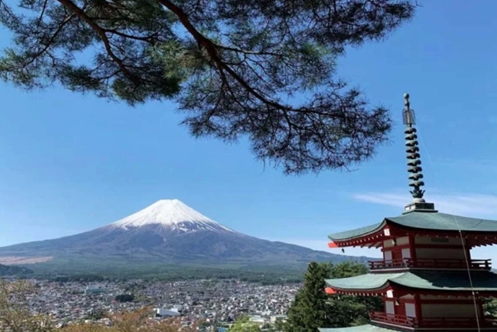 জাপানে মাউন্ট ফুজির সাকুরা উৎসব বাতিল: অতিরিক্ত পর্যটকের চাপে স্থানীয় জীবনযাত্রা বিপর্যস্ত