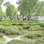 গুলিয়াখালী সমুদ্রসৈকতে দোলনা নিয়ে তর্ক, পর্যটকদের সঙ্গে স্থানীয়দের সংঘর্ষ, আহত ৮