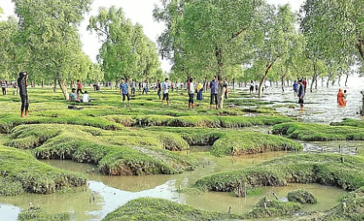 গুলিয়াখালী সমুদ্রসৈকতে দোলনা নিয়ে তর্ক, পর্যটকদের সঙ্গে স্থানীয়দের সংঘর্ষ, আহত ৮