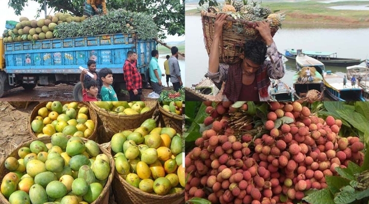 রাঙামাটির মধুমাস: পাহাড়ি ফলের স্বর্গে পর্যটকদের আকর্ষণীয় সম্ভার